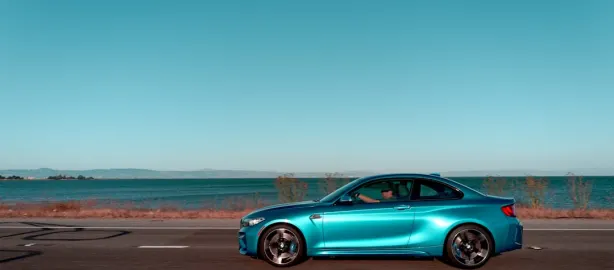 Casino Lion Slots Android/iOS Forrit